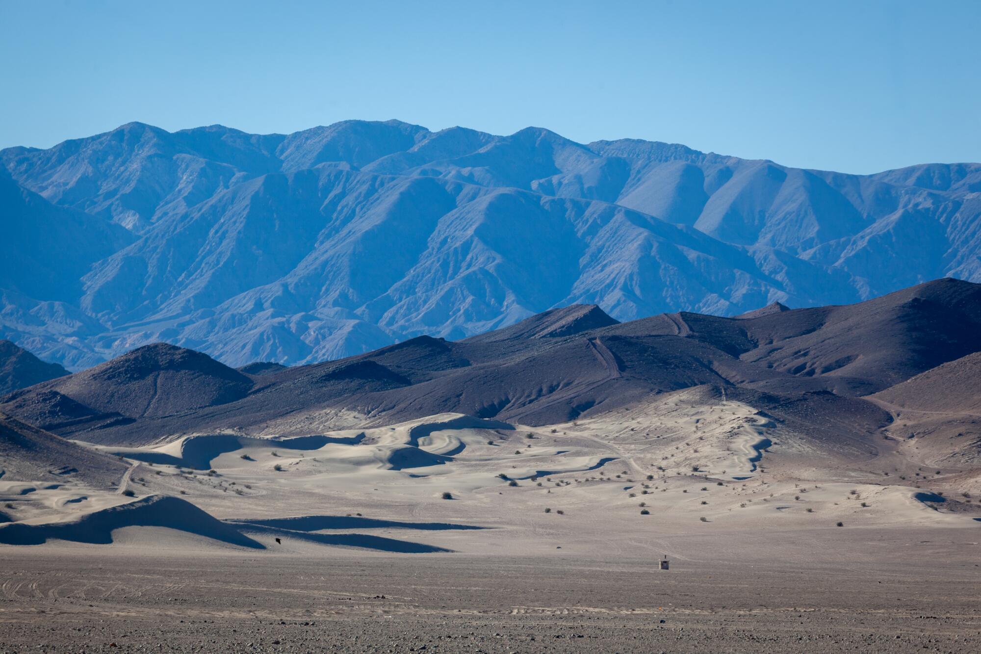 Dumont Dunes, a playground for sand dune enthusiasts, is bordered by the slow-running Amargosa River.