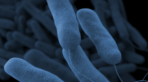 No Legionella Detected At Oakland County Jail