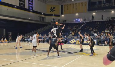 California State University at Fullerton Logo