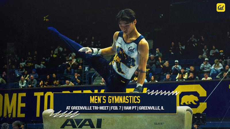 Bears To Meet Greenville, Simpson On The Road