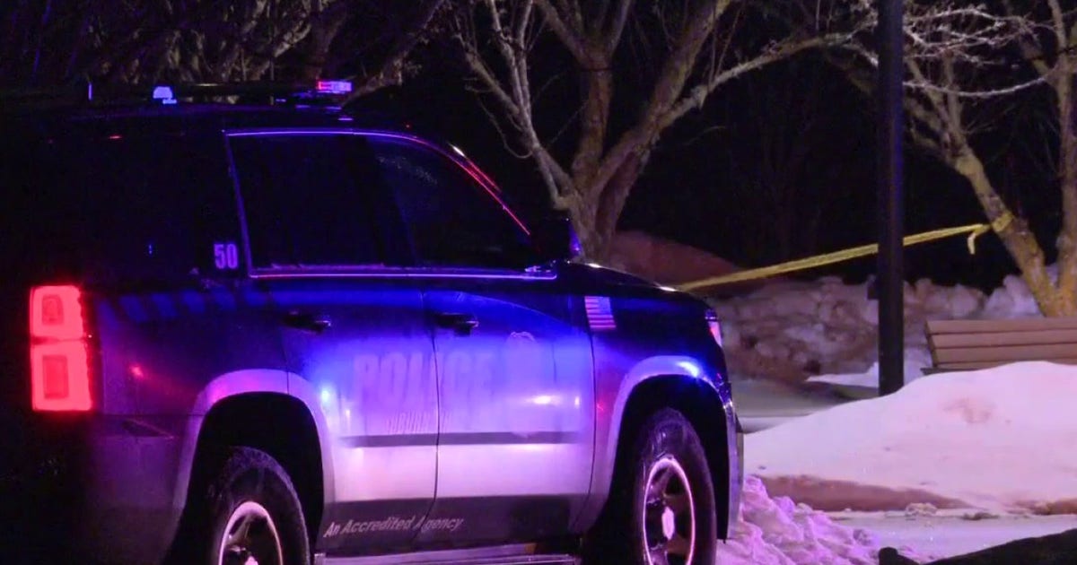 Oakland University stabbing suspects on the run after 1 wounded outside Van Wagoner Hall