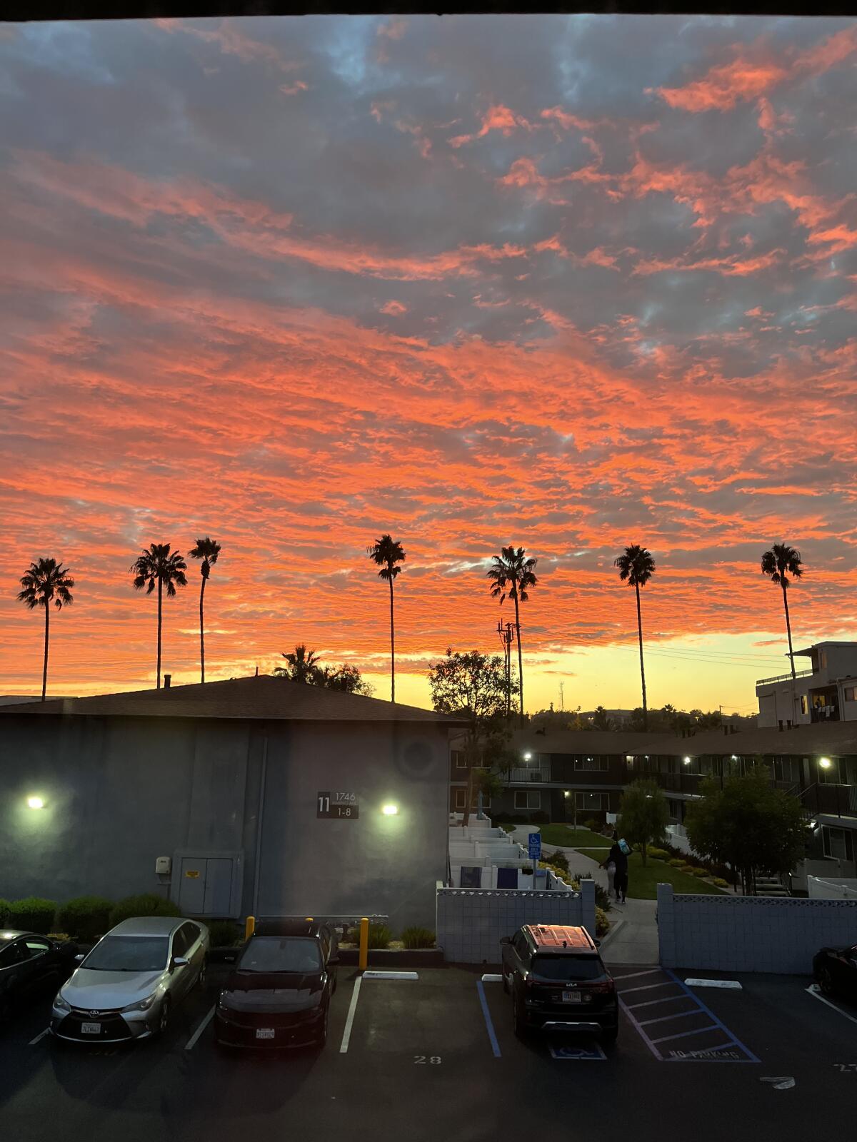 Sunset as the backdrop near Cal State Long Beach