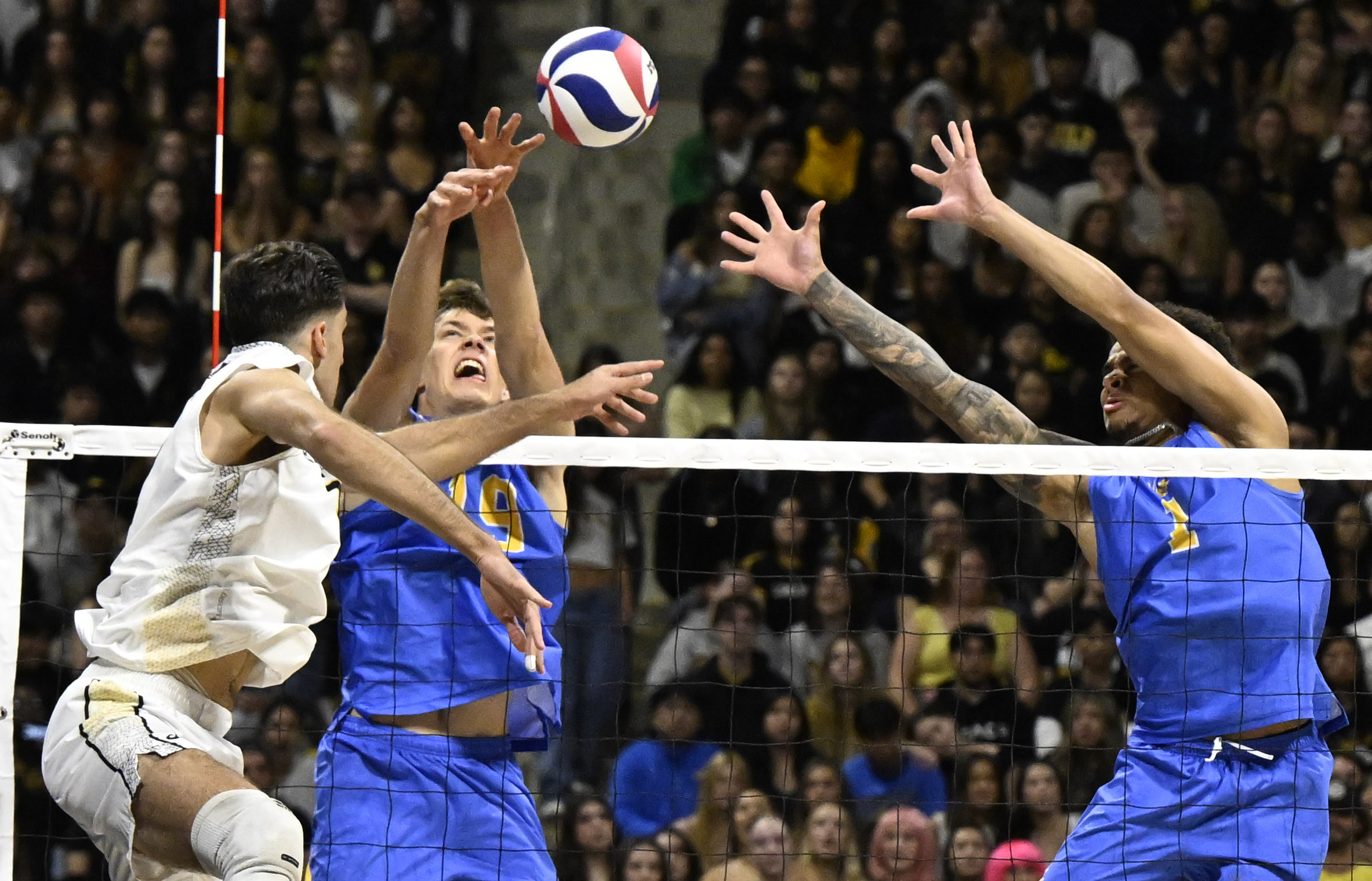 UCLA opposite hitter David Decker (19) blocks a shot by...
