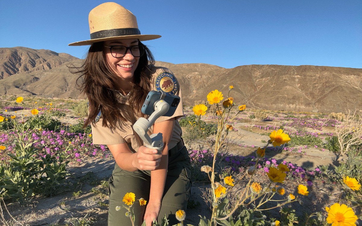 Is a superbloom coming?