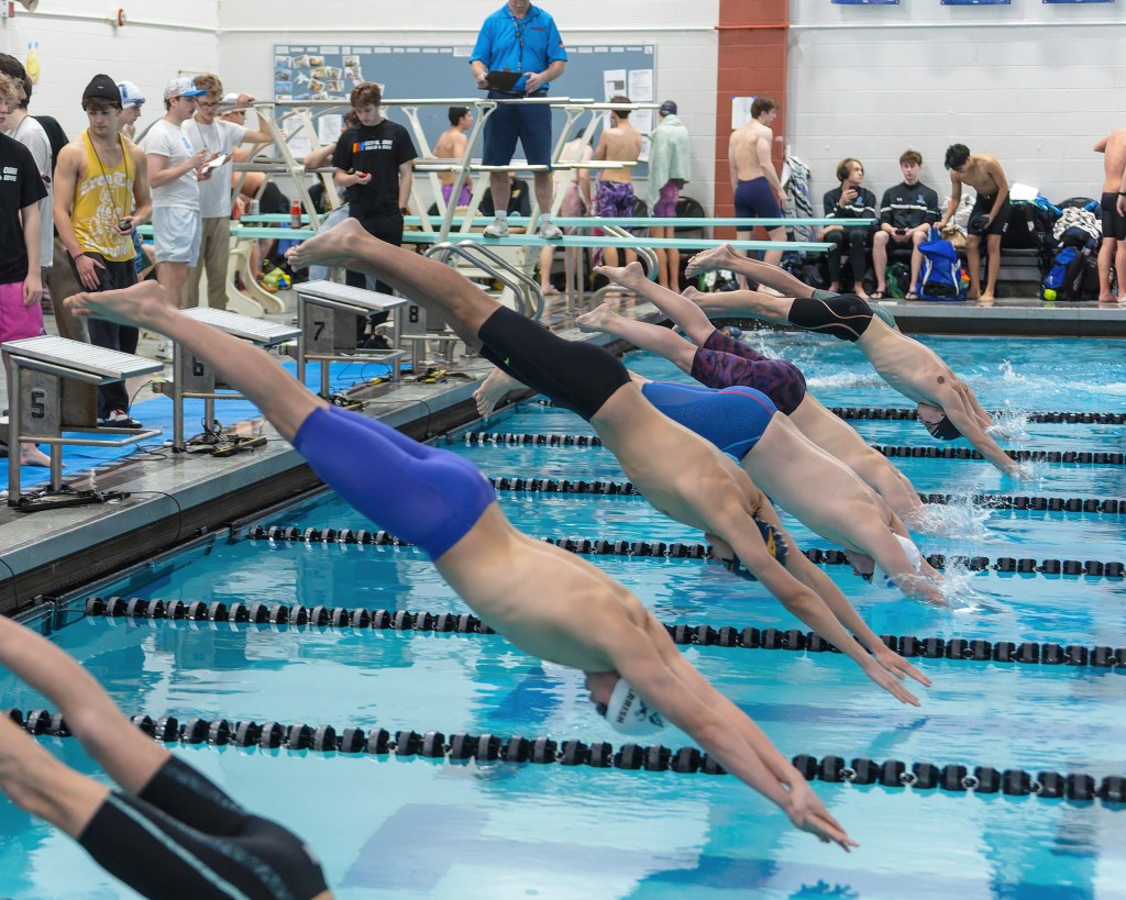 Photo gallery from the 2026 Oakland County Boys Swim Championships in Royal Oak – The Oakland Press