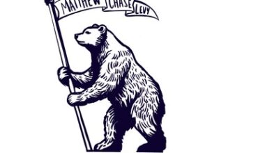 Matthew Chase Levy, Entrepreneur and Physicist, Enters California Governor's Race