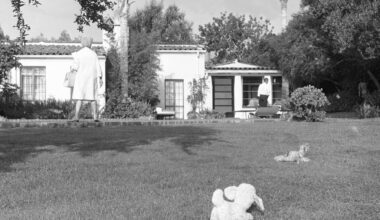 a case study in property rights – San Bernardino Sun