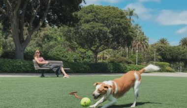 Why oakland is beating major u. S. Cities with record pet-friendly hotels, activities, and dog parks in 2026!