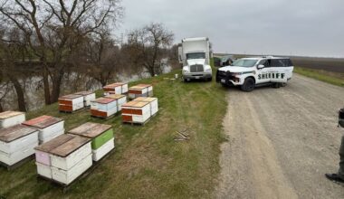 Yolo County Sheriff’s Office arrests Sacramento man for stealing several beehive boxes – Daily Democrat