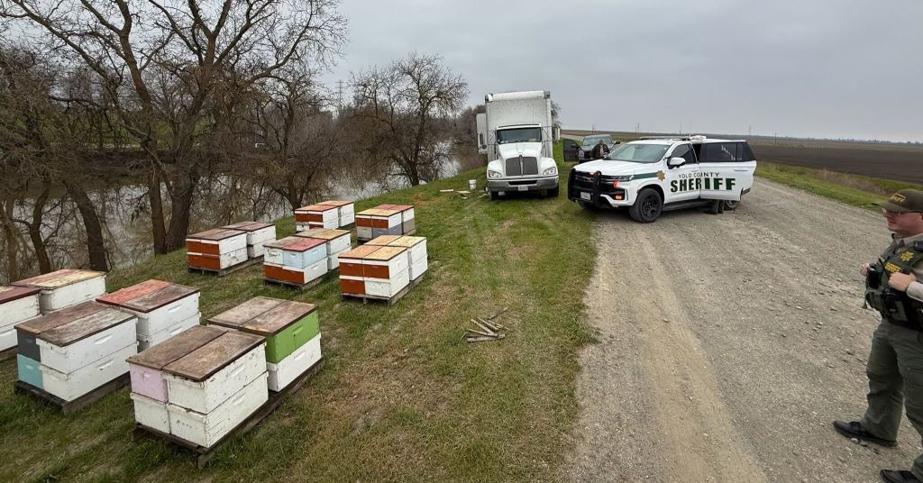 Yolo County Sheriff’s Office arrests Sacramento man for stealing several beehive boxes – Daily Democrat