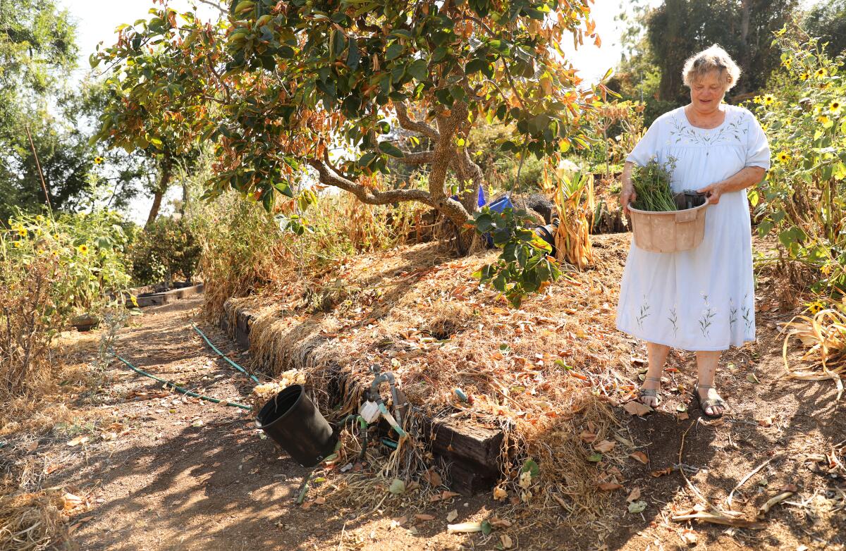 Master gardener Yvonne Savio walks through her garden.