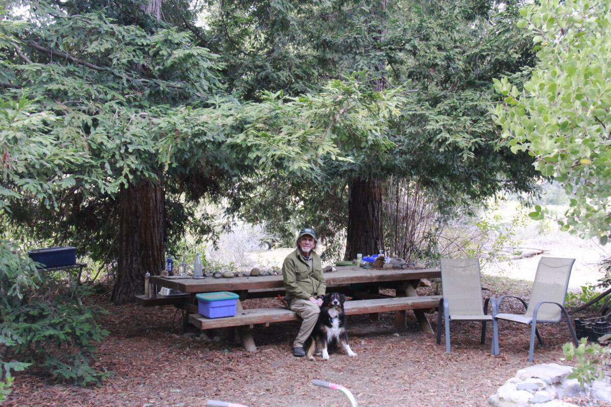 Mike Evans and Dakota in Redwood Grove, which he planted 30 year ago and is his office.