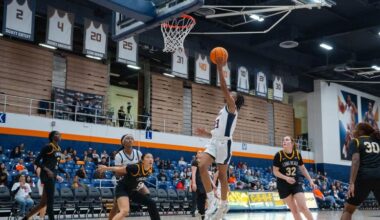 Titans Clinch Big West Tournament Appearance after Sweeping Long Beach at Home