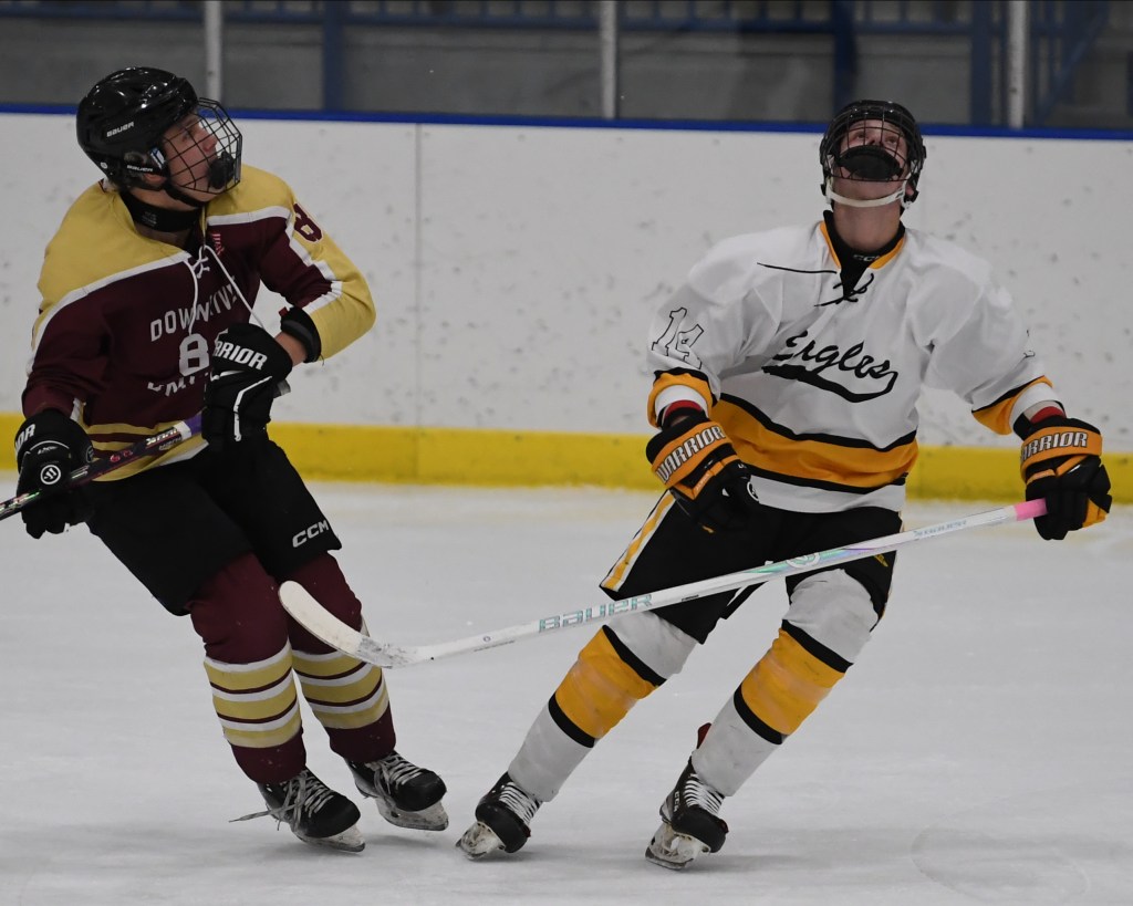 Photo gallery of Downriver United vs. North Oakland Eagles in hockey action – The Oakland Press
