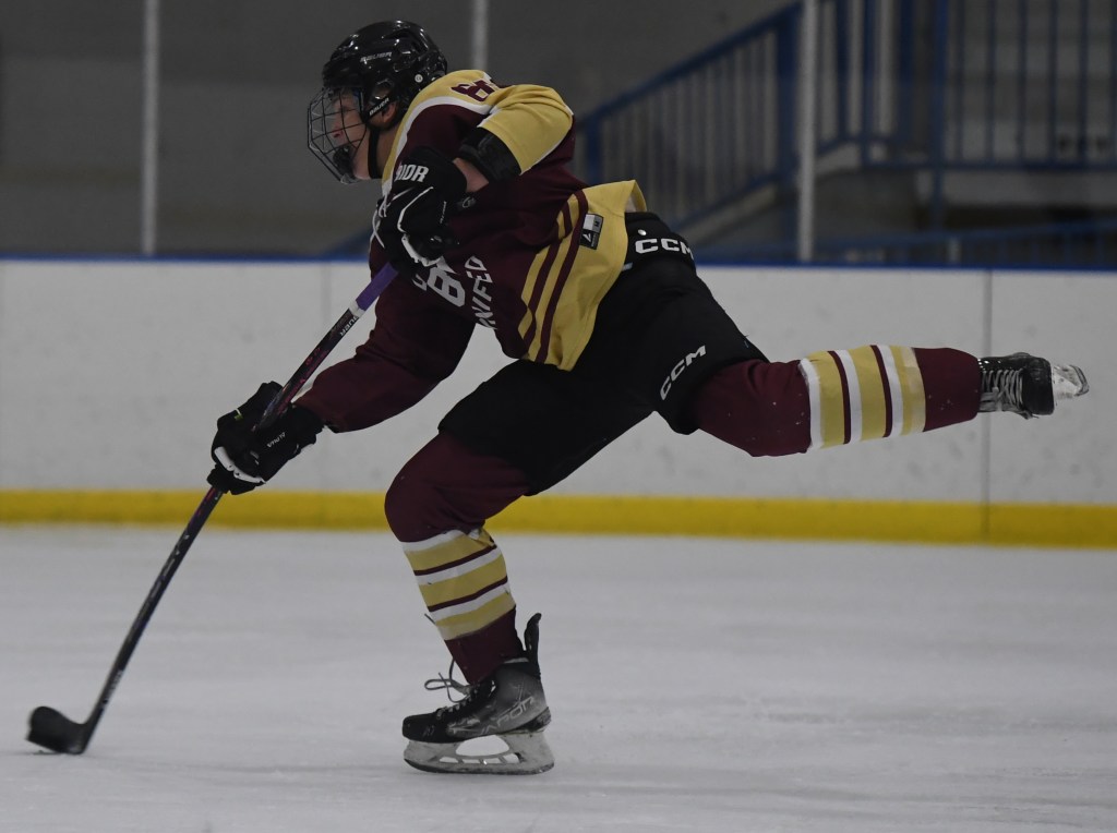 Cameron Cousino bags four goals to guide Downriver Unified past Eagles – The Oakland Press