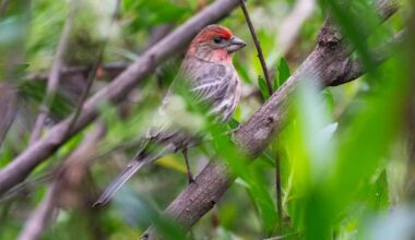 Check out Carson’s ‘secret refuge’ — the Bixby Marsh – Daily Breeze