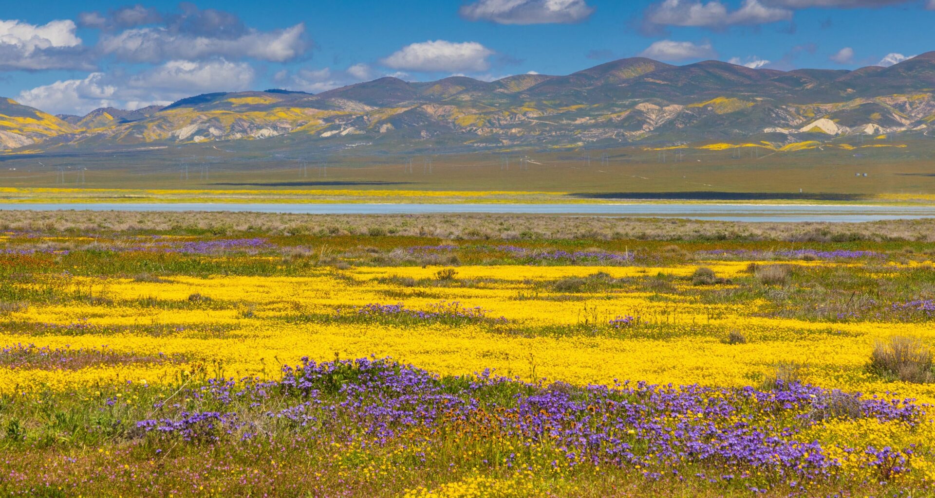 Carrizo Plain