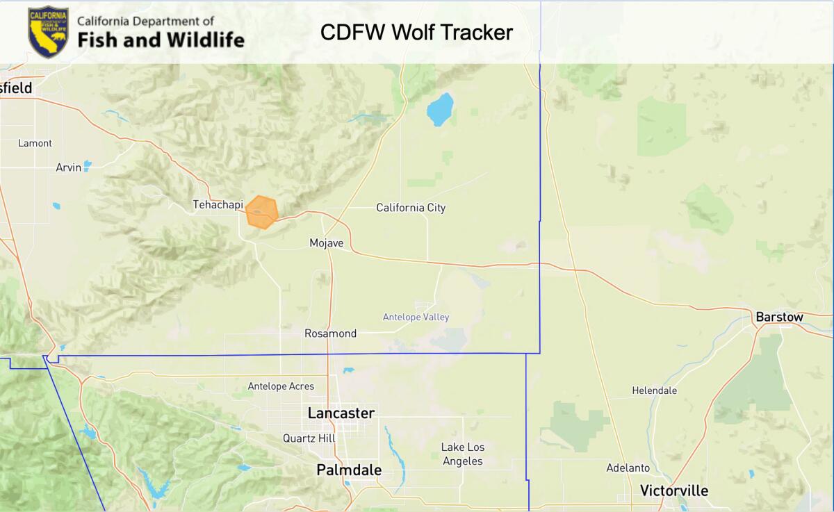 Last known location of BEY03F.
