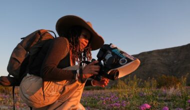 A photographer’s quest to document native bees includes an annual search along the California-Oregon border