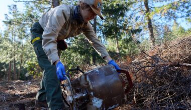 ‘Little death bombs’: Illegal cannabis farms poison California’s forests. Who’s cleaning them up? • The Mendocino Voice