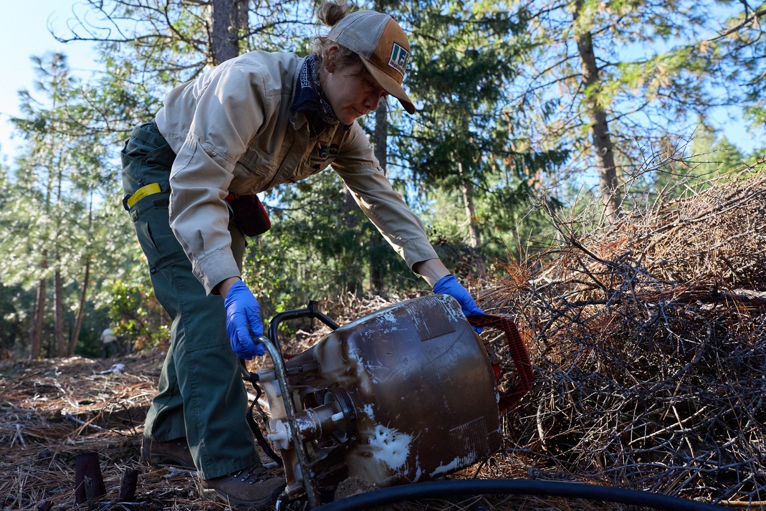 ‘Little death bombs’: Illegal cannabis farms poison California’s forests. Who’s cleaning them up? • The Mendocino Voice