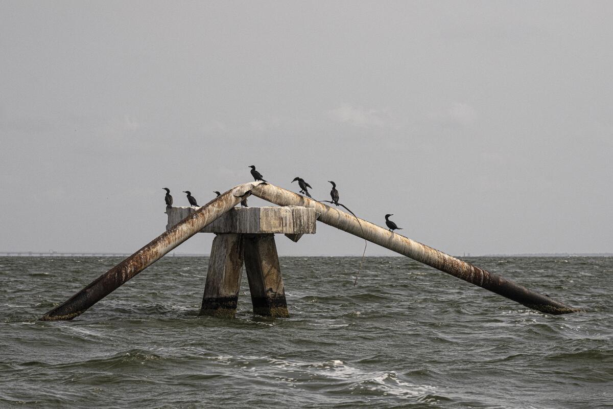A broken oil pipeline stands over Lake Maracaibo