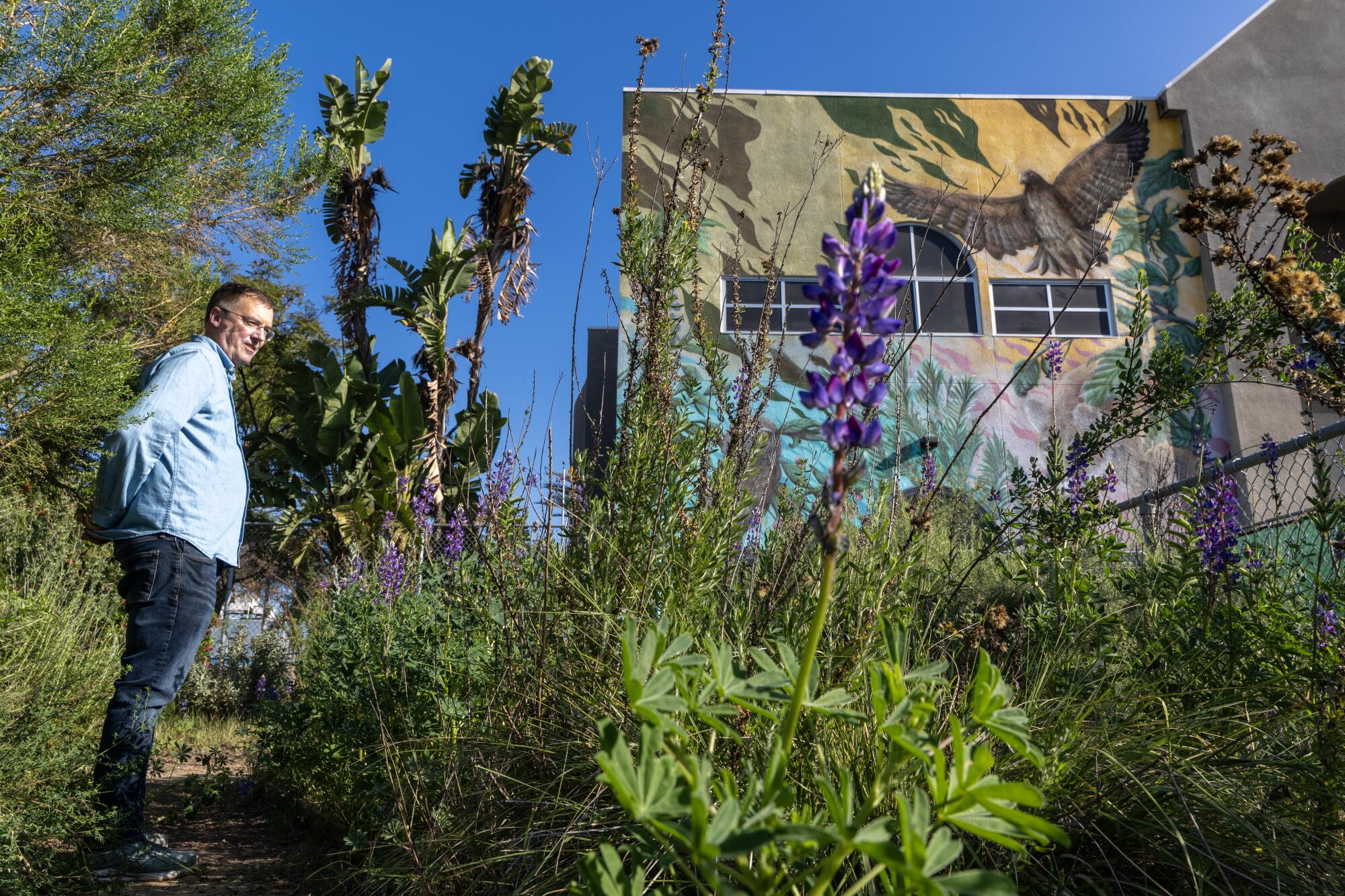 Principal Brad Rumble standing in a garden