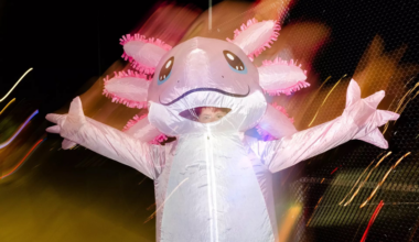 A person stands near a fence decorated with lights forming a peace sign and the word “NICE,” overlooking a busy highway at night.