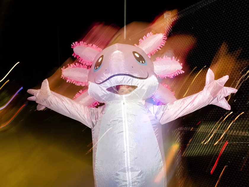 A person stands near a fence decorated with lights forming a peace sign and the word “NICE,” overlooking a busy highway at night.
