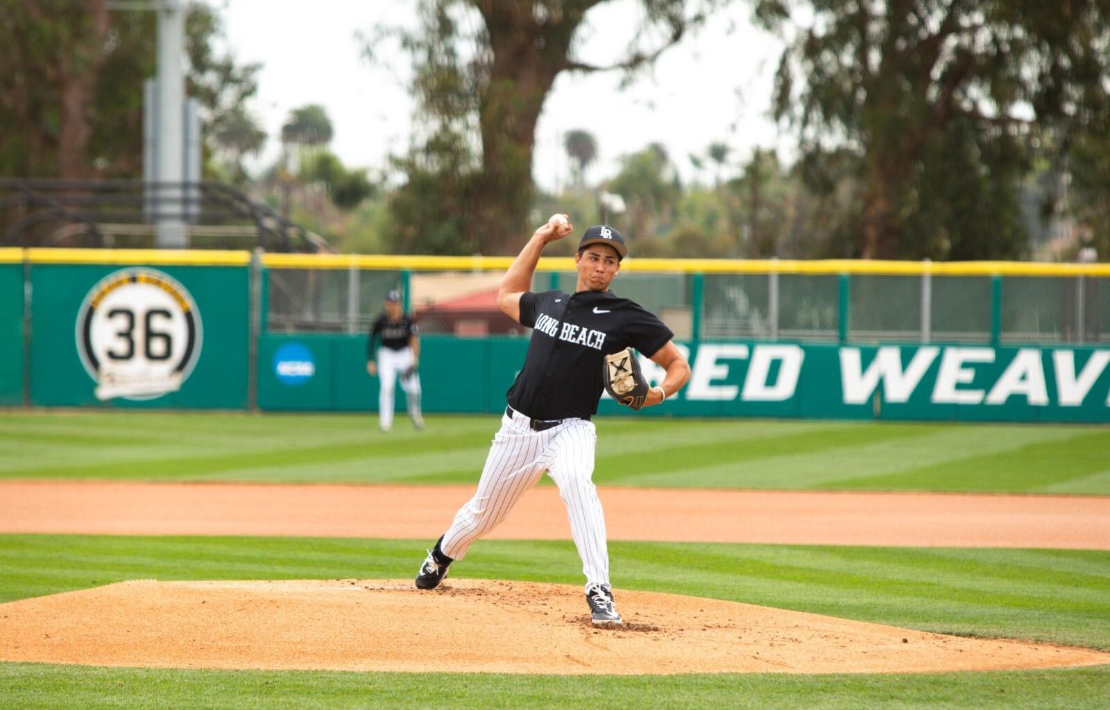 University of San Diego Logo