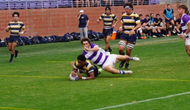 Bears Roll Past GCU - California Golden Bears Athletics