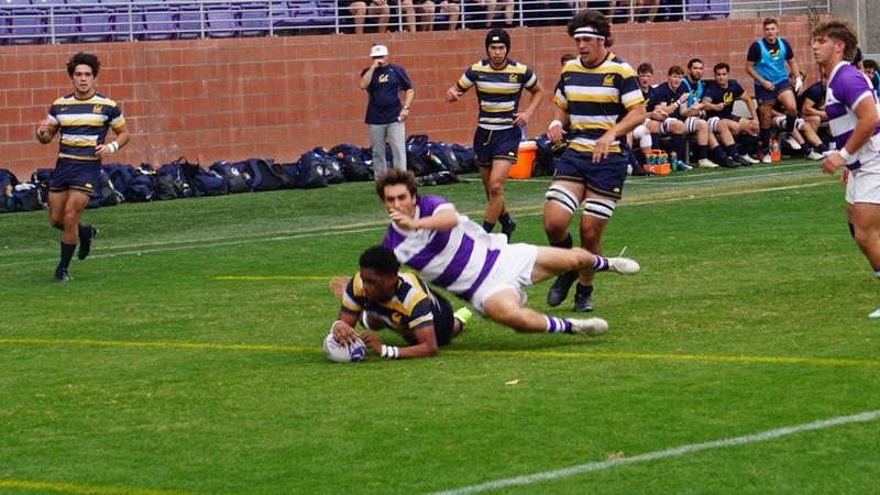 Bears Roll Past GCU - California Golden Bears Athletics