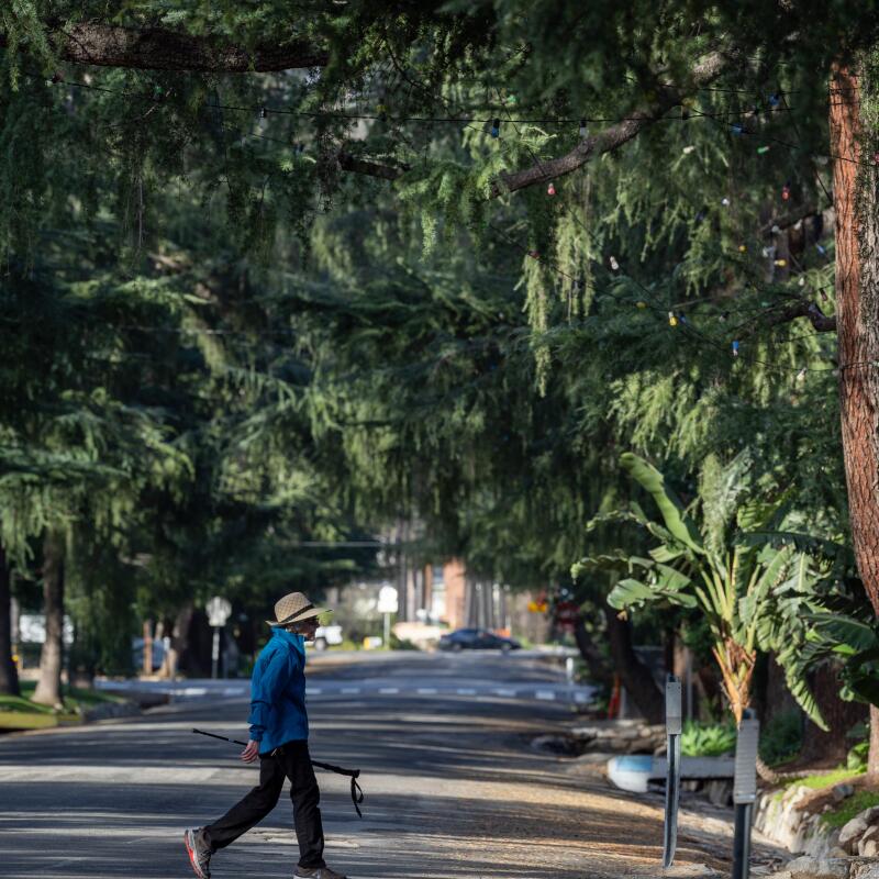 A pedestrian walks past Christmas Tree lane in Altadena. Christmas Tree Lane was officially listed in the National Register of Historic Places in 1990.