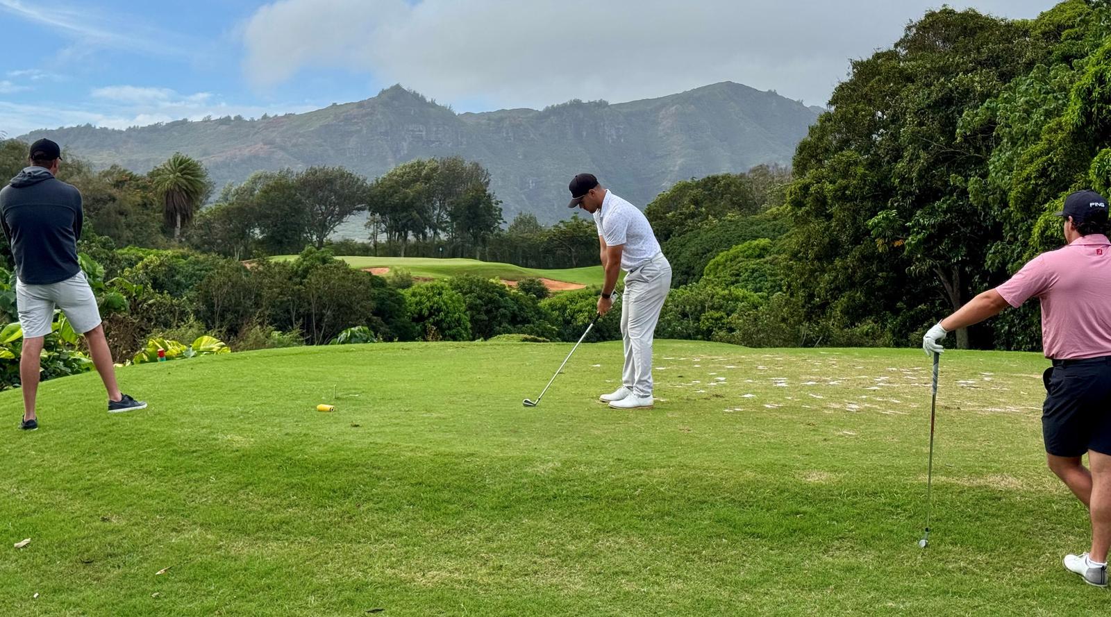 University of San Diego Logo