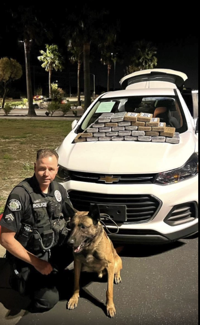 A police officer kneels down to pose for a photo with a German Shepard dog in front of a white sedan with cocaine packages stacked on the hood.