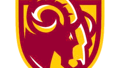 Willow Glen Picks Up Fourth Consecutive Win