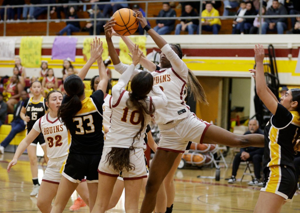 Long Beach Wilson girls basketball outmatched by El Dorado in quarterfinals – Orange County Register