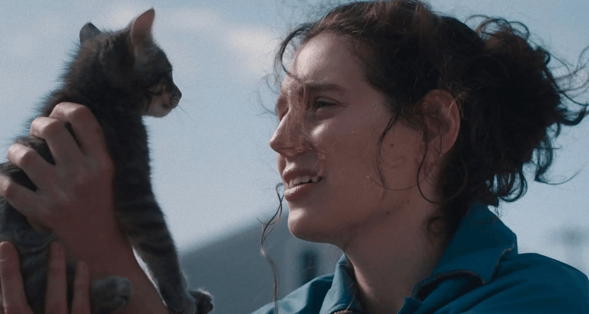 Tabby cat adopted from Berkeley Humane is a top animal actor of the year