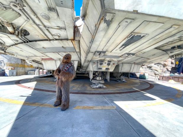 Chewbacca greets visitors in front of Millennium Falcon: Smugglers Run in Star Wars: Galaxy's Edge inside Disneyland in Anaheim, CA, on Tuesday, March 1, 2022. (Photo by Jeff Gritchen, Orange County Register/SCNG)