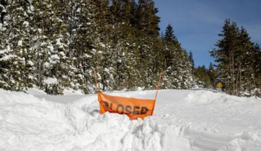 Ski guides in spotlight as investigators probe deadly California avalanche