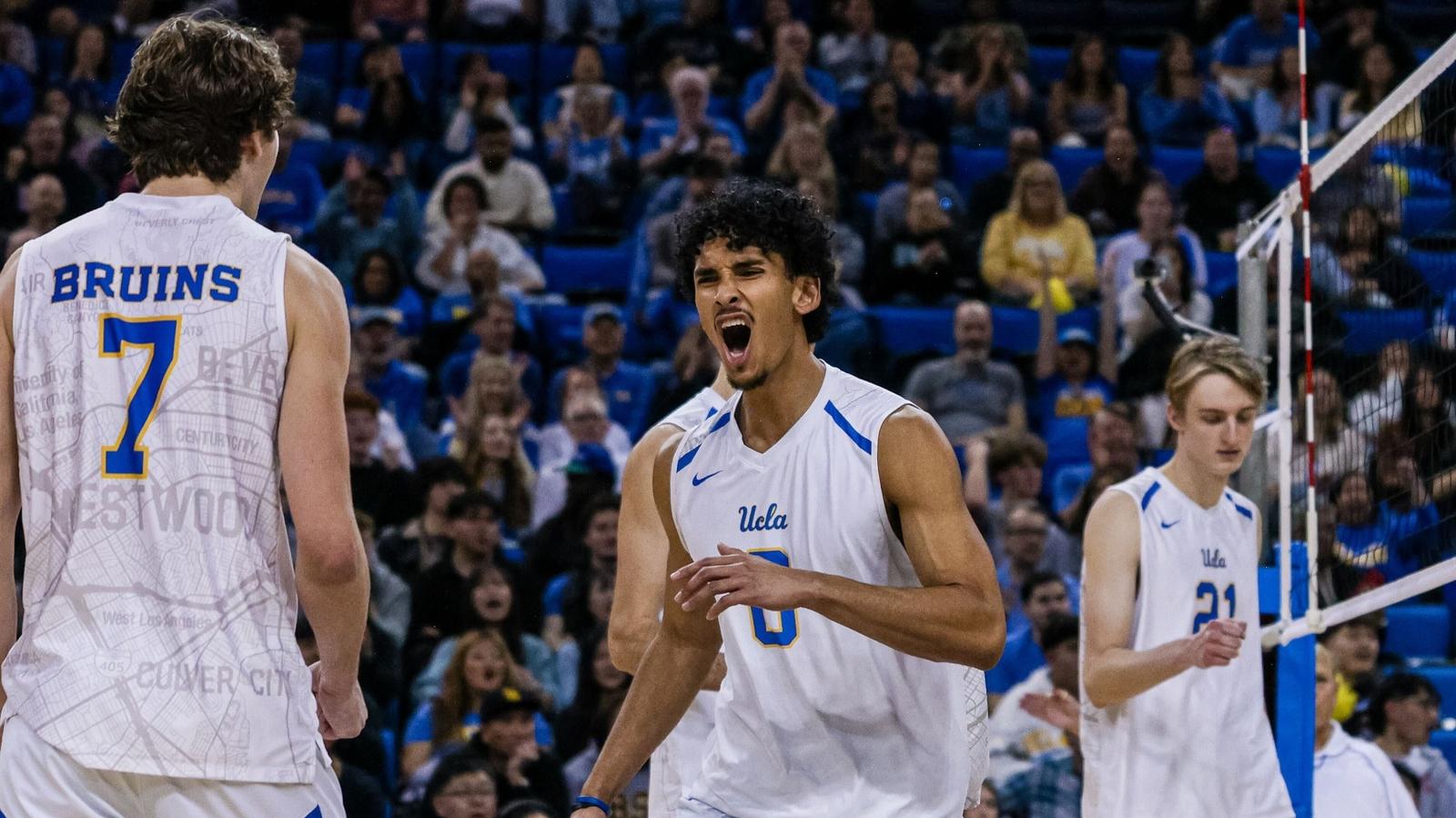 University of California Santa Barbara Logo