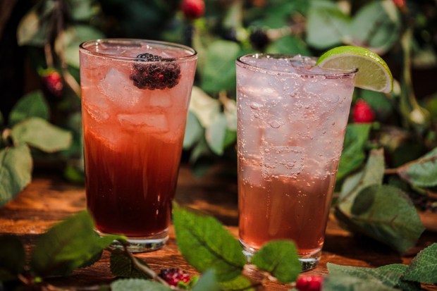 Knott's Boysenberry Festival A La Carte menu items available at Calico Saloon. (Courtesy of Knott's Berry Farm)