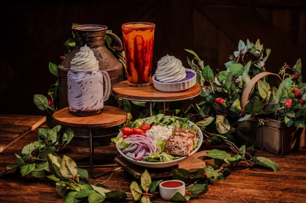 Knott's Boysenberry Festival A La Carte menu items available at Coasters Diner. (Courtesy of Knott's Berry Farm)