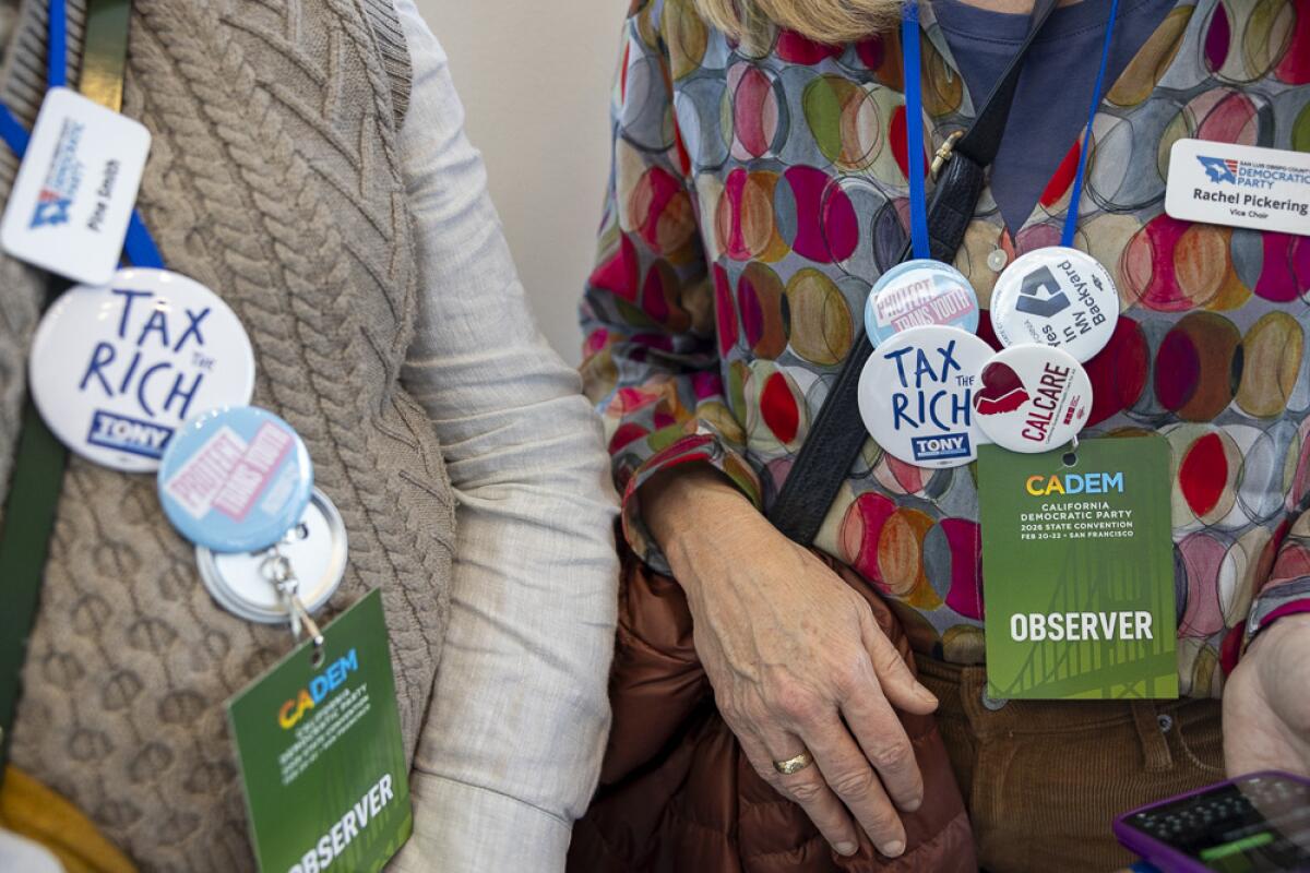 Two women wear pins supporting Democratic causes