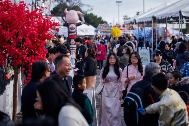 Community members attend the Tet Festival 2026 at Eastridge Center Friday, Feb. 20, 2026, in San Jose, Calif. The three-day festival includes live music and entertainment, lion dancers, a fashion show and carnival rides, as well as retail, food and drink vendors. (Dai Sugano/Bay Area News Group)