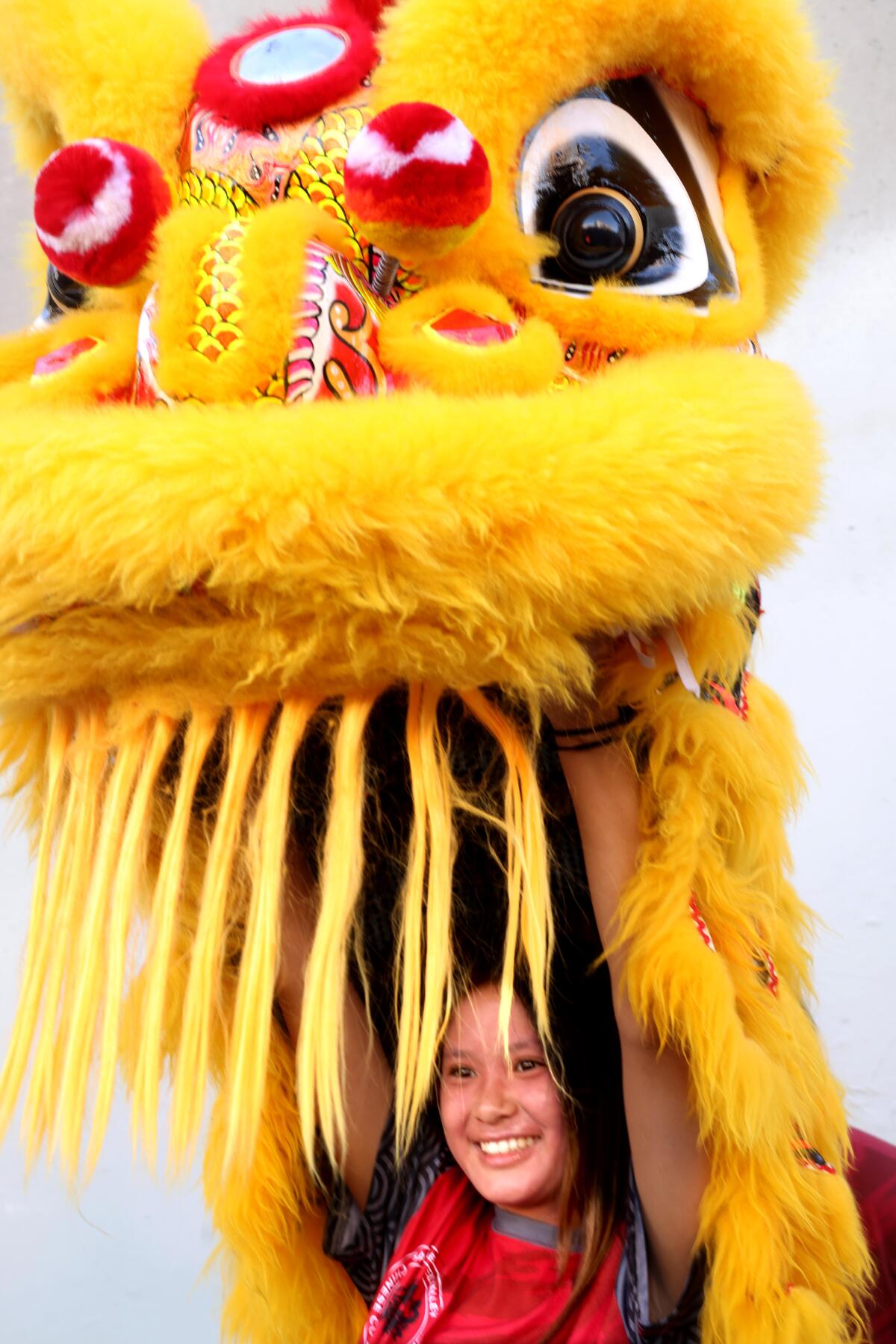 A lion dance performer.