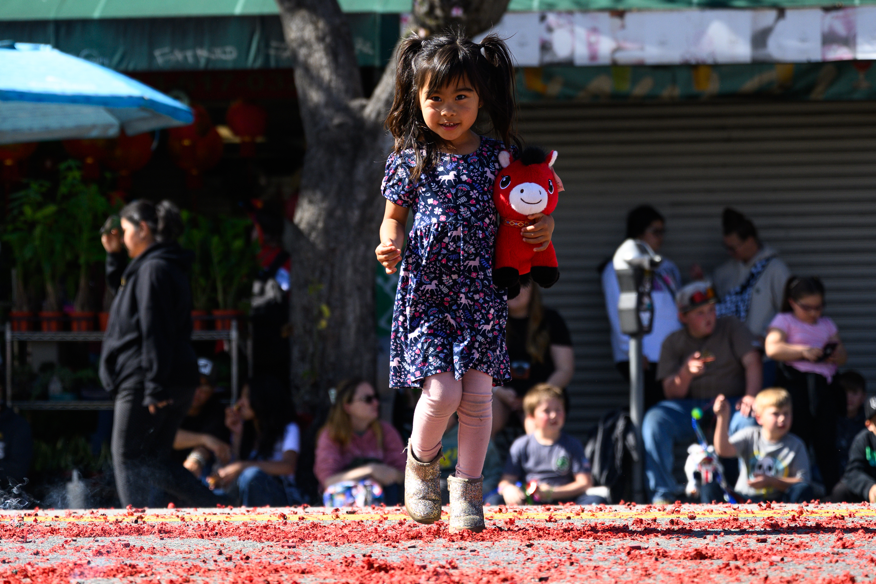 A young girl celebrates the Year of the Fire Horse...