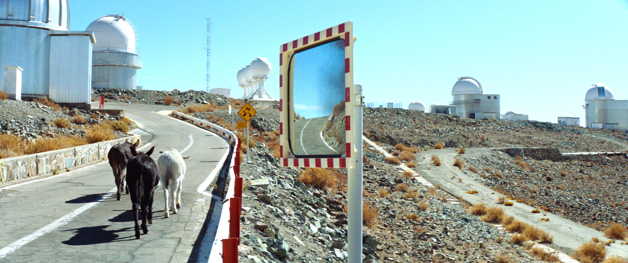 "perfectly a strangeness"