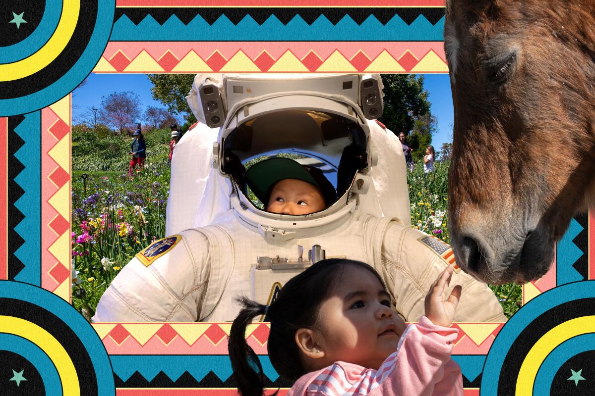 photo illustration of a field of flowers, a young child in a NASA space suit, and a little girl petting a donkey