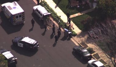 Woman arrested after threats, damaging several cars: SJPD